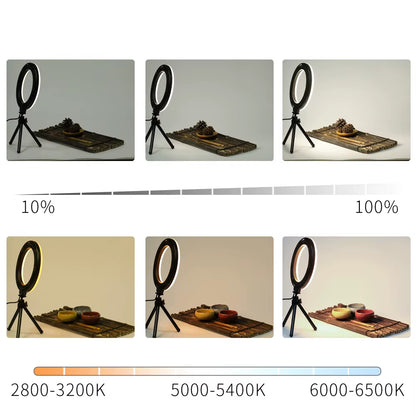 Lampe Selfie LED 6’’ – Anneau Lumineux avec Trépied et Port USB, Éclairage Réglable pour Créateurs, Bureau ou Maquillage